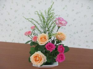 IMG_5044