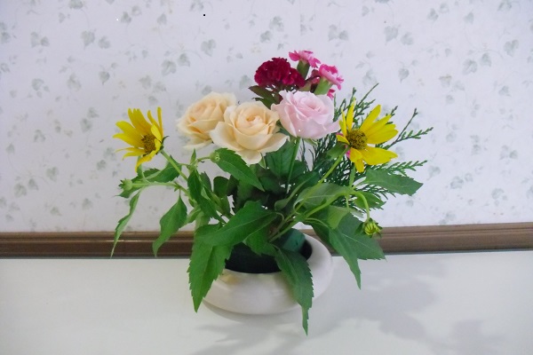 CIMG0460
